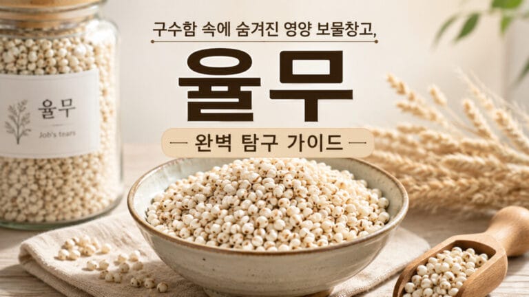 그릇에 담긴 율무와 함께 구성한 율무 영양 및 섭취 가이드 썸네일